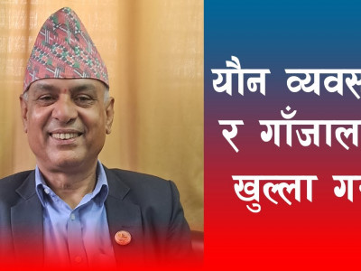 यौन व्यवसायको वकालत गरेका प्रमुख सचेतक घिमिरेमाथि कार्वाही गर्न कांग्रेस नेताहरुको माग