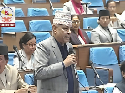 कांग्रेस प्रमुख सचेतक घिमिरेले माफी मागे