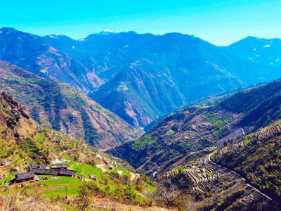 पशुपालक किसान घटेपछि उराठ बन्दै खर्क