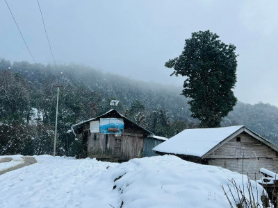 वर्षाले अलैँची खेती गर्ने किसान हर्षित