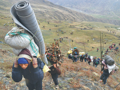 यार्सागुम्बा टिप्न हिमाली भेगतर्फ