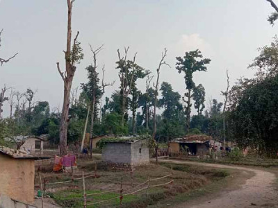 बीस वर्षदेखि सुकुम्बासीको प्रश्न: जग्गा कहिले पाइन्छ ?