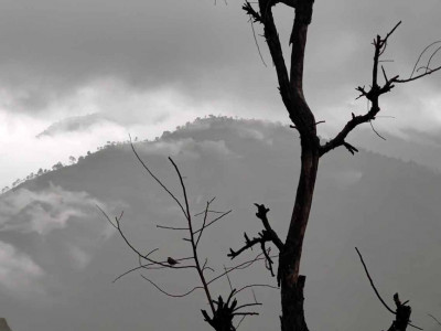 मौसम पूर्वानुमान: केही भूभागमा हल्का वर्षा र हिमपातको सम्भावना