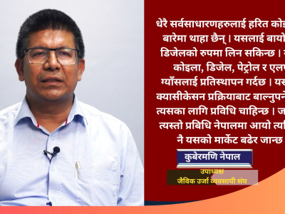 ग्याँस र पेट्रोलियम पदार्थको तुलनामा हरित कोइला ५० प्रतिशत सस्तो छ : कुबेरमणि नेपाल