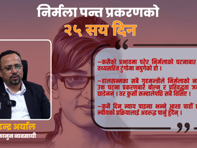 राज्यले पीडितलाई होइन पीडकलाई संरक्षण दिएको छ : इन्द्र अर्याल