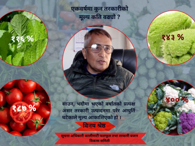मौसमी तरकारीको मूल्य नै ४०० प्रतिशत सम्मले वृद्धि