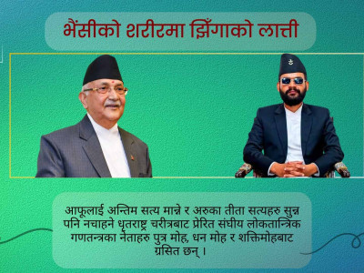 समाचार टिप्पणी: भैंसीको शरीरमा झिँगाको लात्ती