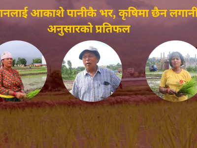 किसानलाई आकाशे पानीकै भर, कृषिमा छैन लगानी अनुसारको प्रतिफल