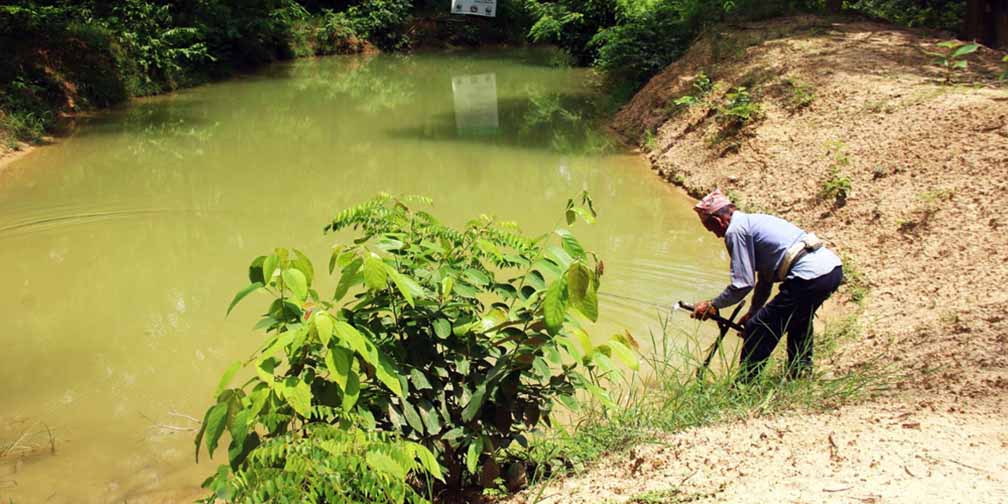 वन्यजन्तुका लागि सामुदायिक वनमा पोखरी