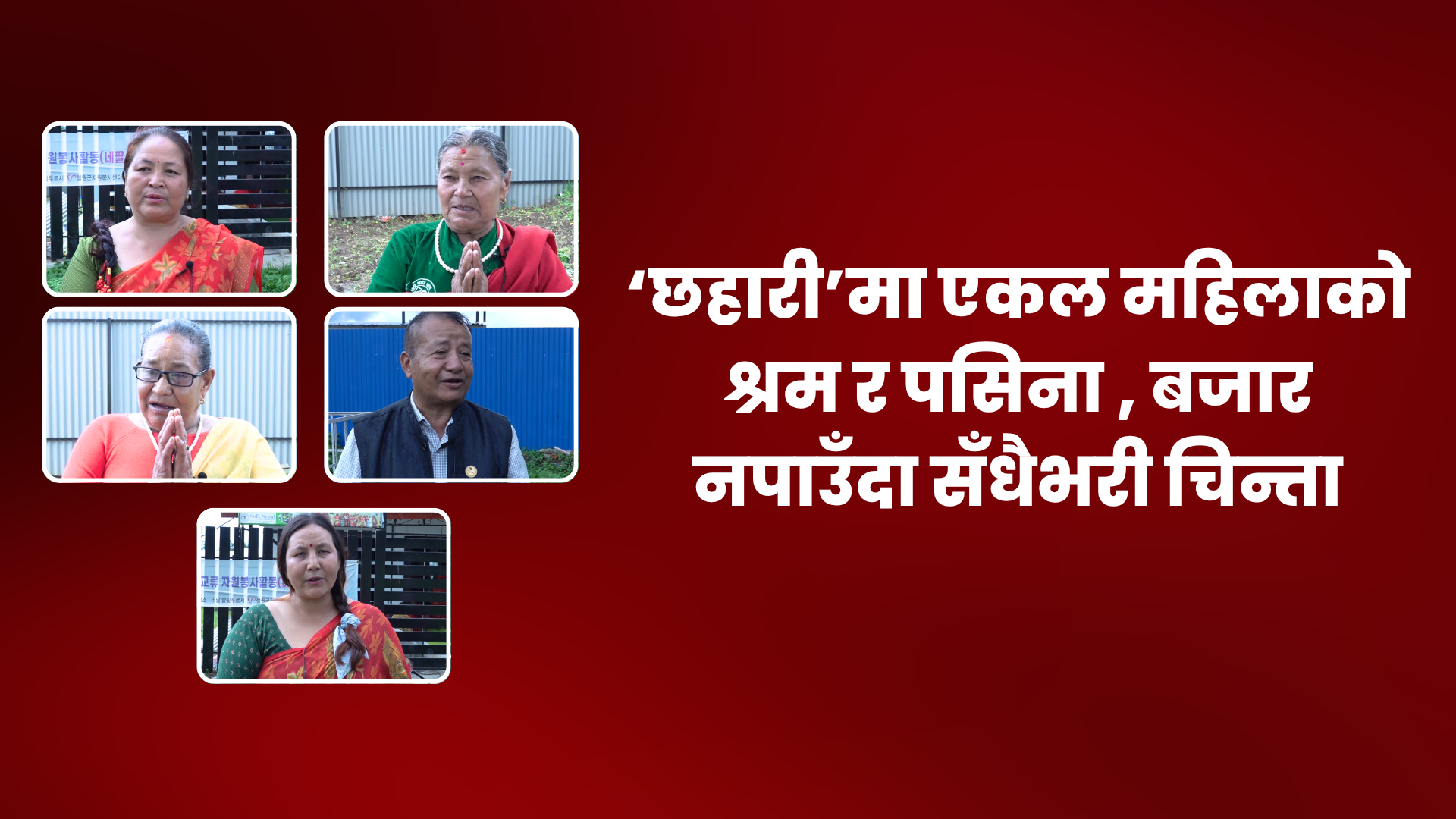सुनाकोठीमा एकल महिलाहरुको ‘छहारी’ : जहाँ फस्टाएको छ अर्गानिक उत्पादन