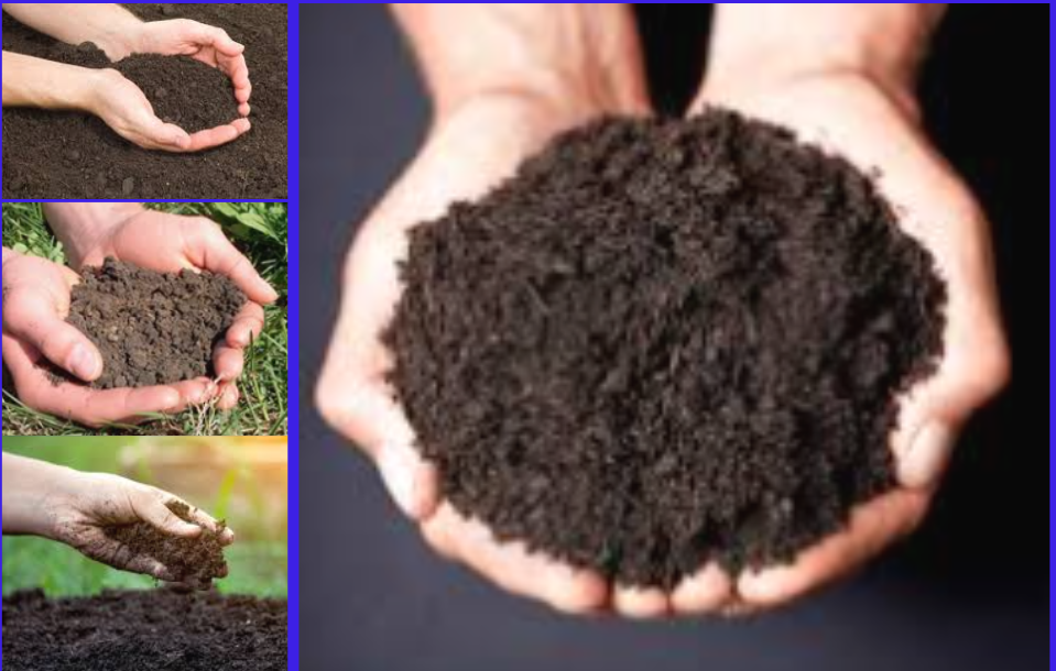 आज विश्व माटो दिवस : विभिन्न कार्यक्रम गरि मनाइँदै