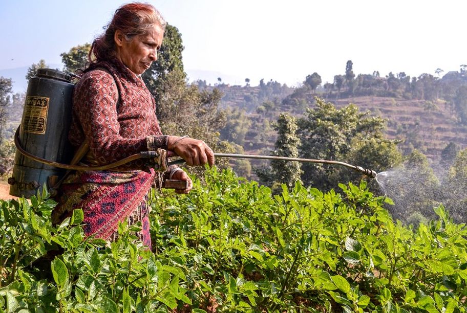 लघुवित्त वित्तीय संस्थाको जोखिमः कर्जामा ९७ प्रतिशत महिला