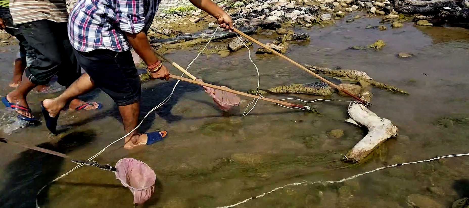 माछा मार्न करेन्ट लगाउने क्रममा युवकको मृत्यु
